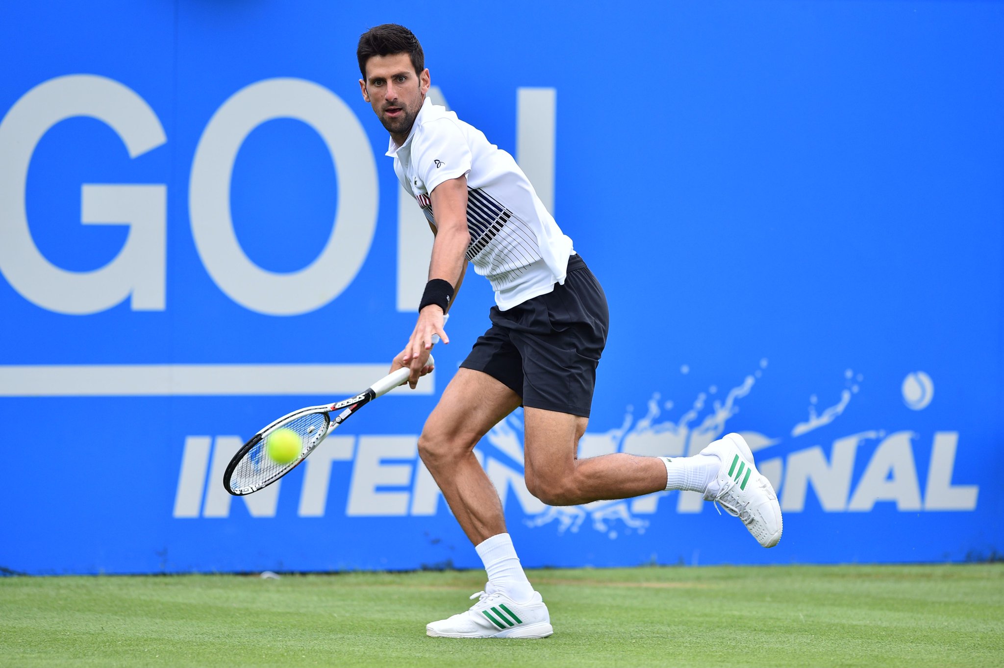 djokovic