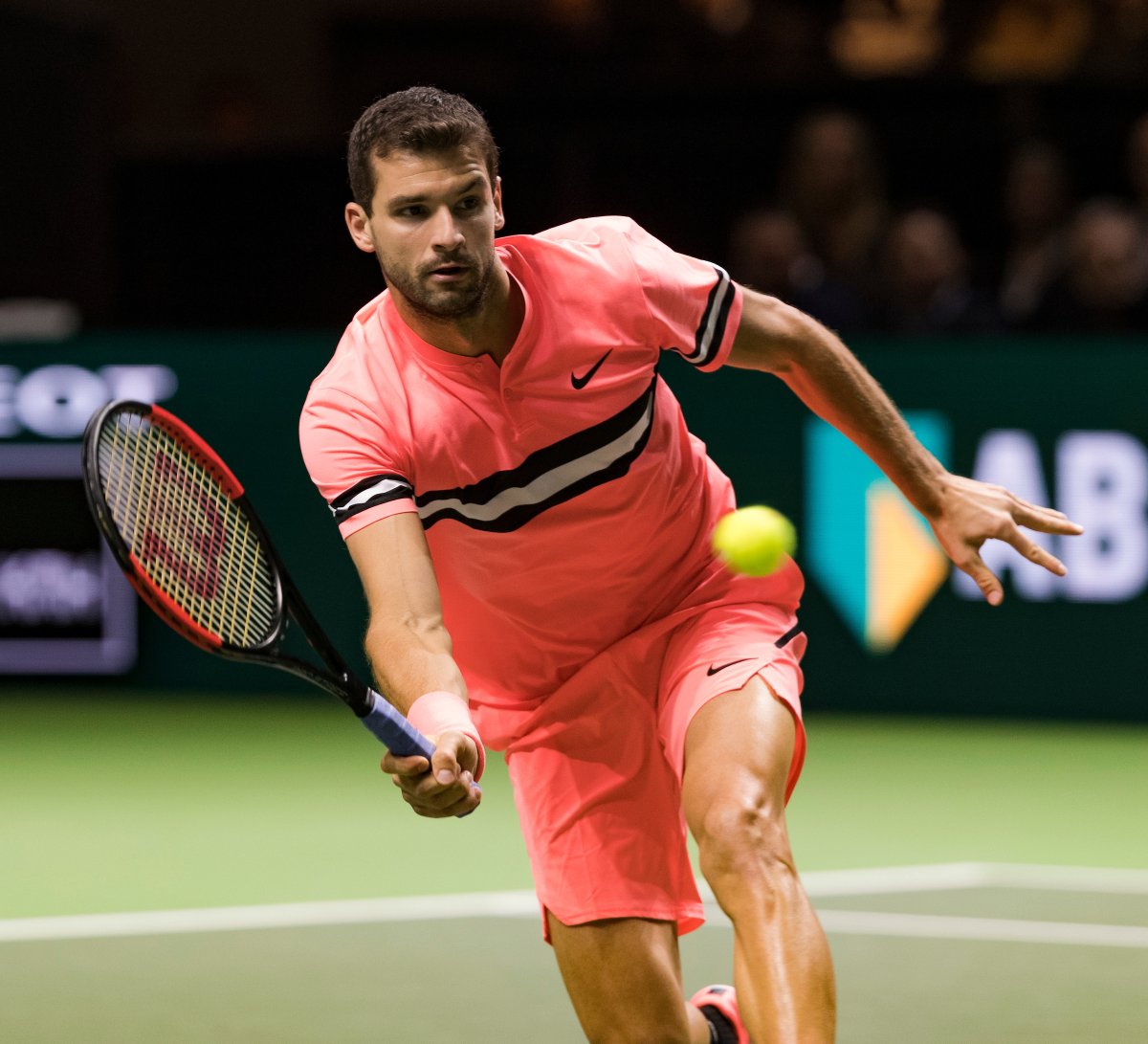 Grigor Dimitrov