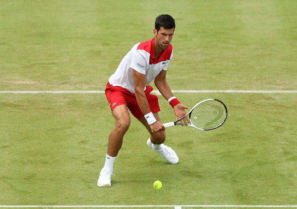 djokovic grass