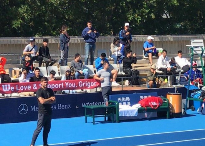 grigor 6