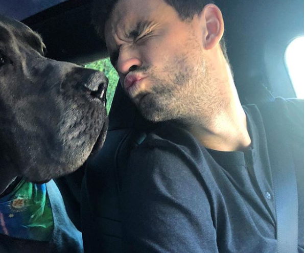 grigor d