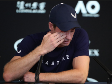 andy murray