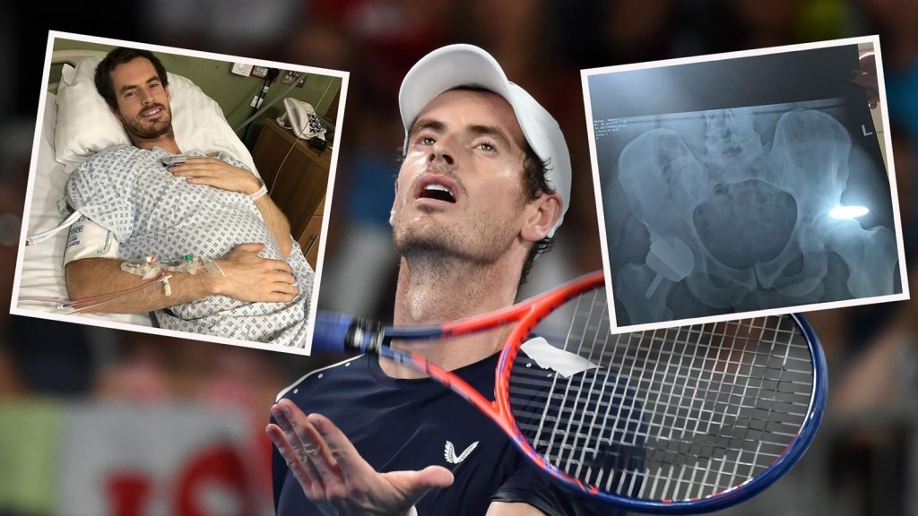 murray