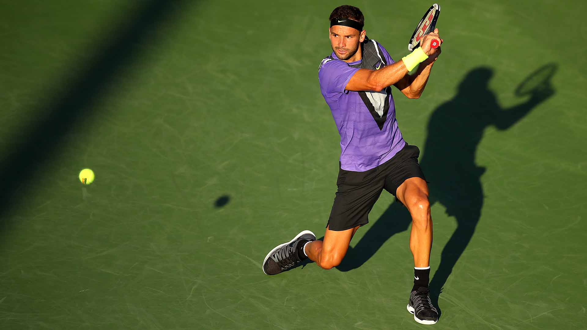 Grigor Dimitrov 4