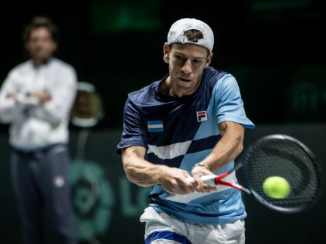 Diego Schwartzman, Davis Cup 2019