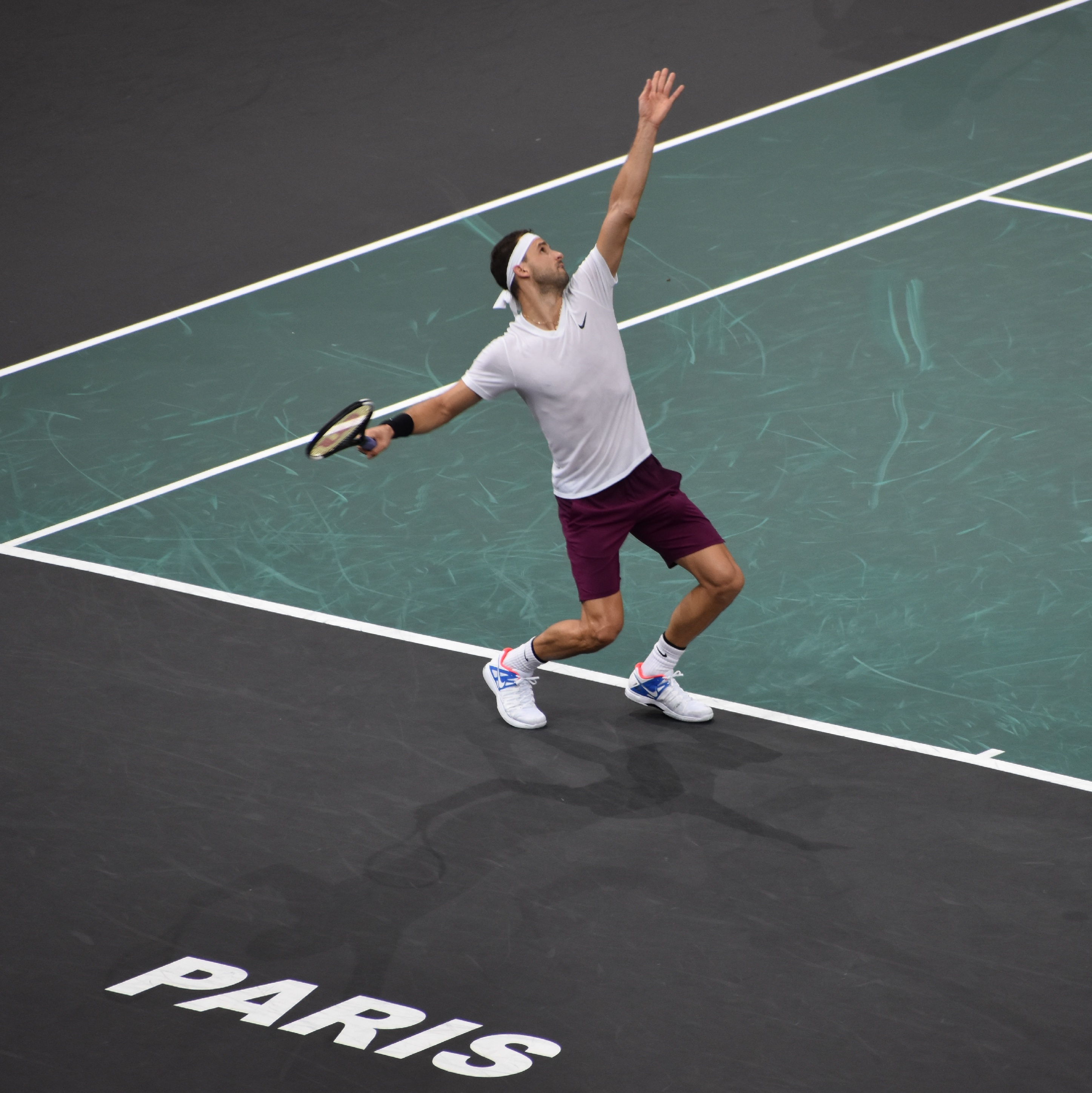 dimitrov5