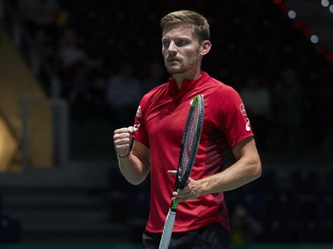 goffin