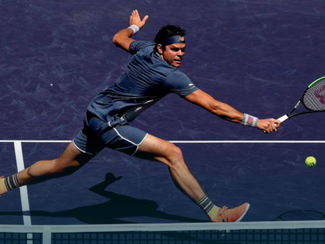 milos raonic