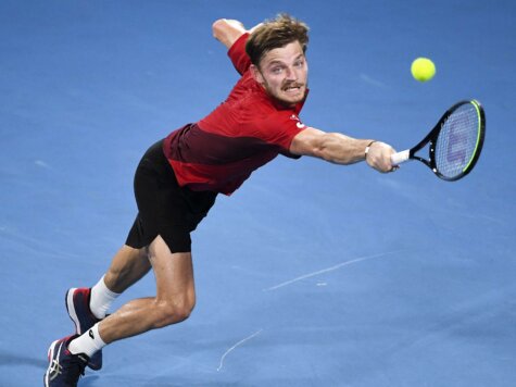 David Goffin