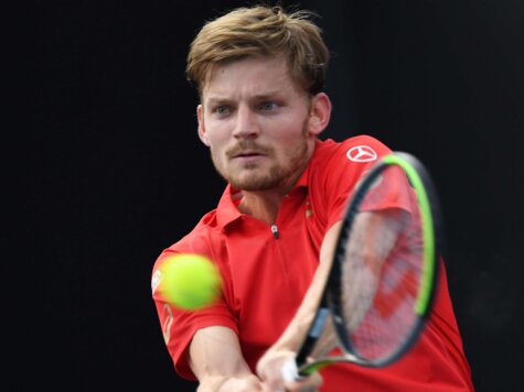 Goffin