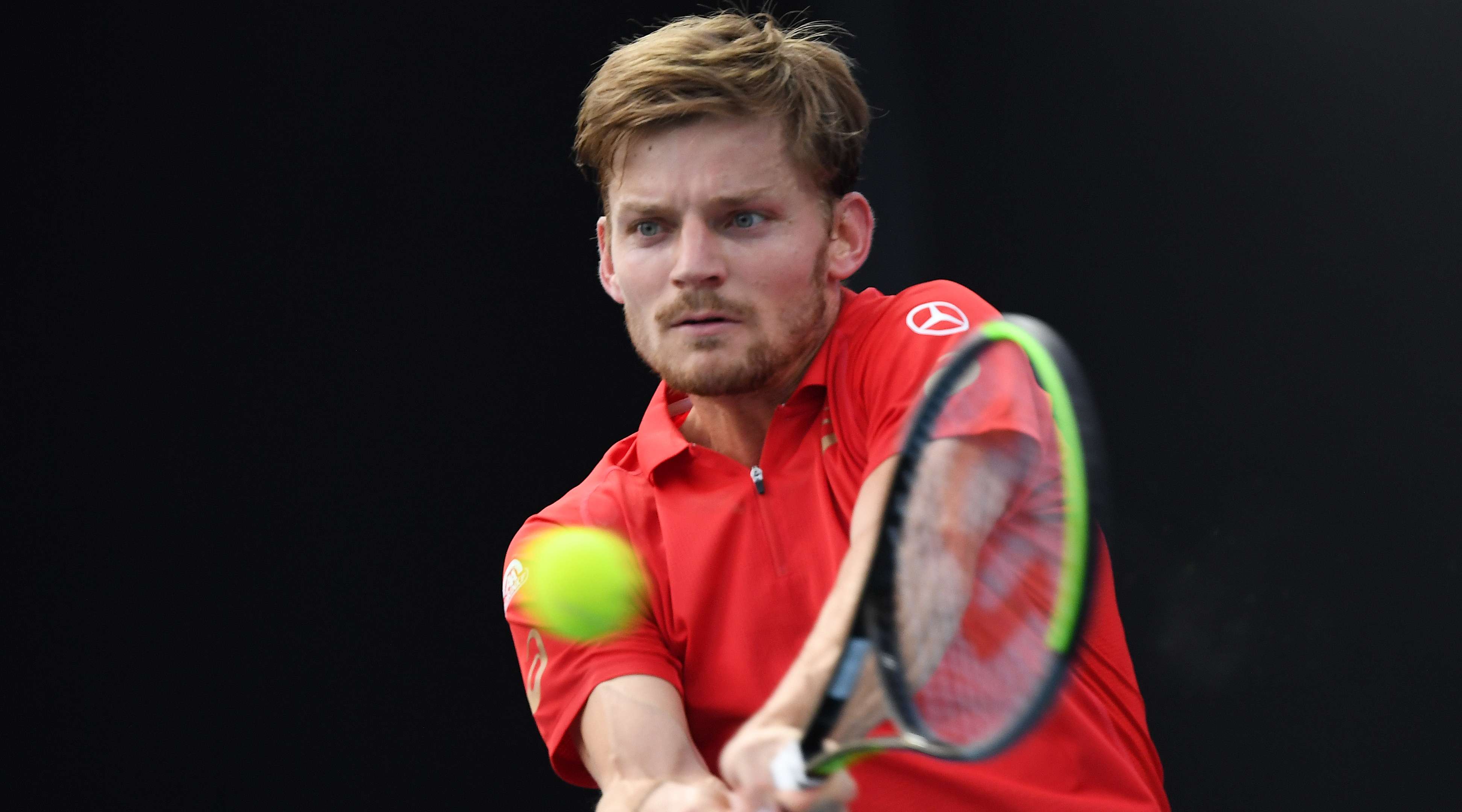 Goffin