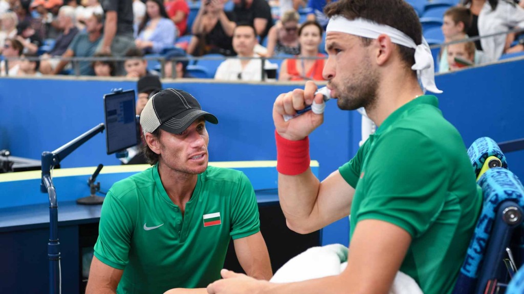 groh dimitrov