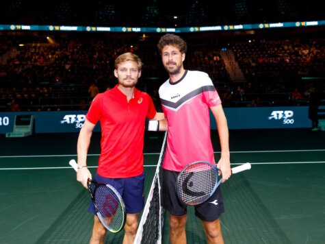 Goffin-Haase