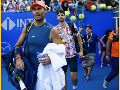 dimitrov-nadal