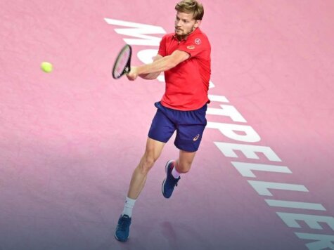 goffin
