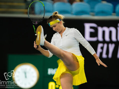 svitolina ukraine