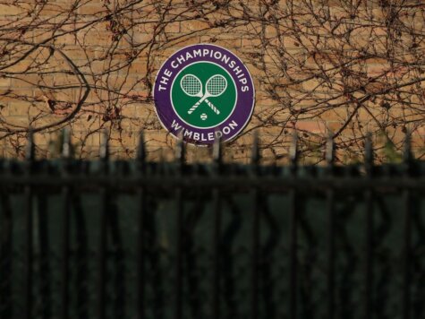 wimbledon fense