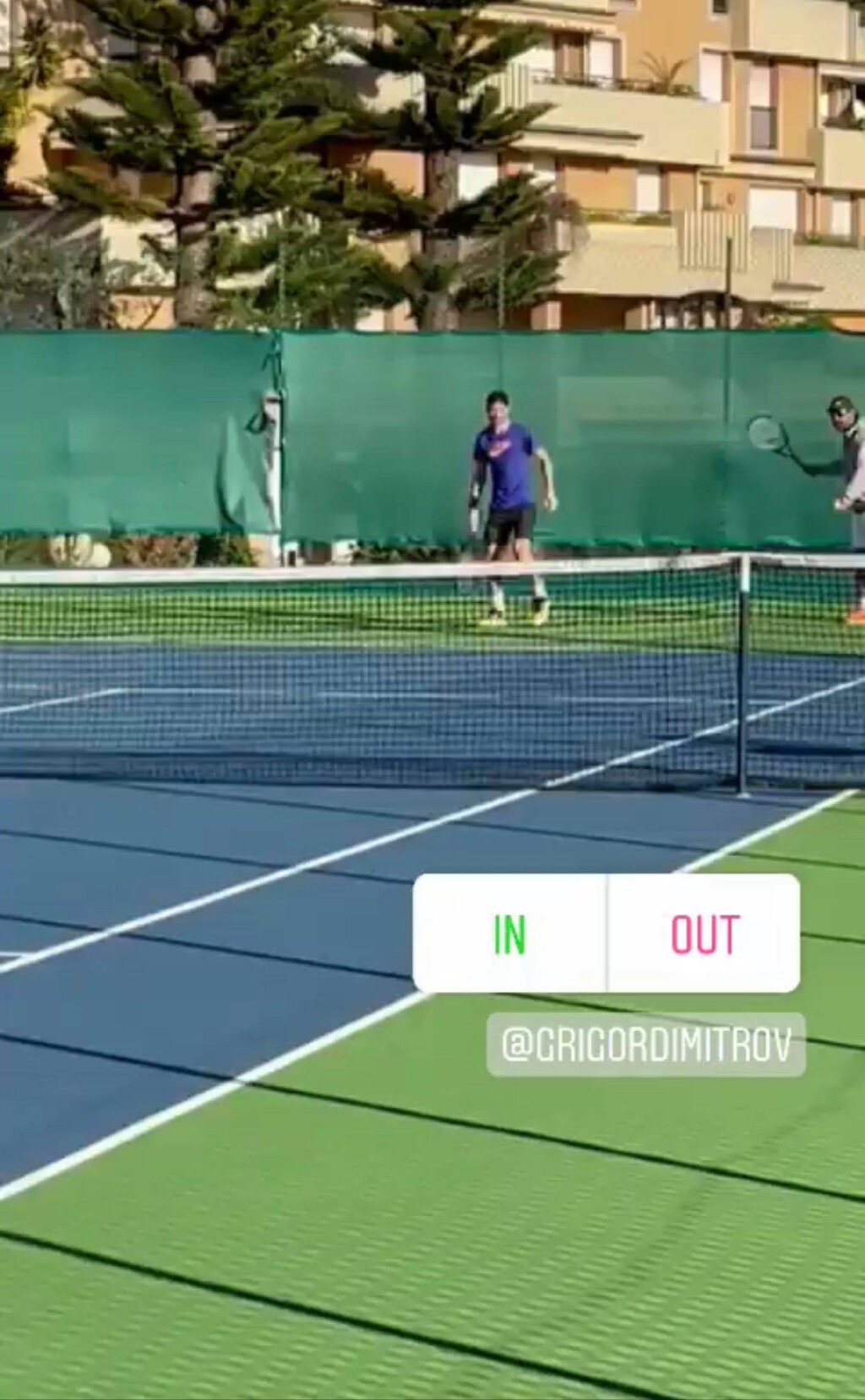 боттини