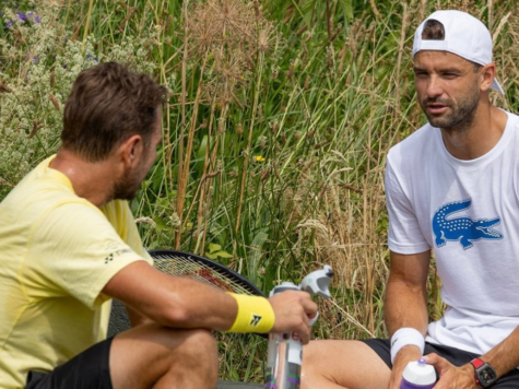 dimitrov-wawrinka