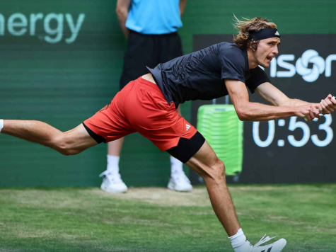 zverev hale